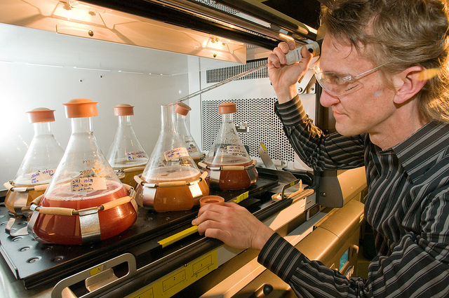 Argonne biologists Philip Laible (pictured) and Deborah Hanson developed a system that uses photosynthetic bacteria (Rhodobacter) to create much larger amounts of membrane protein than was ever before available.