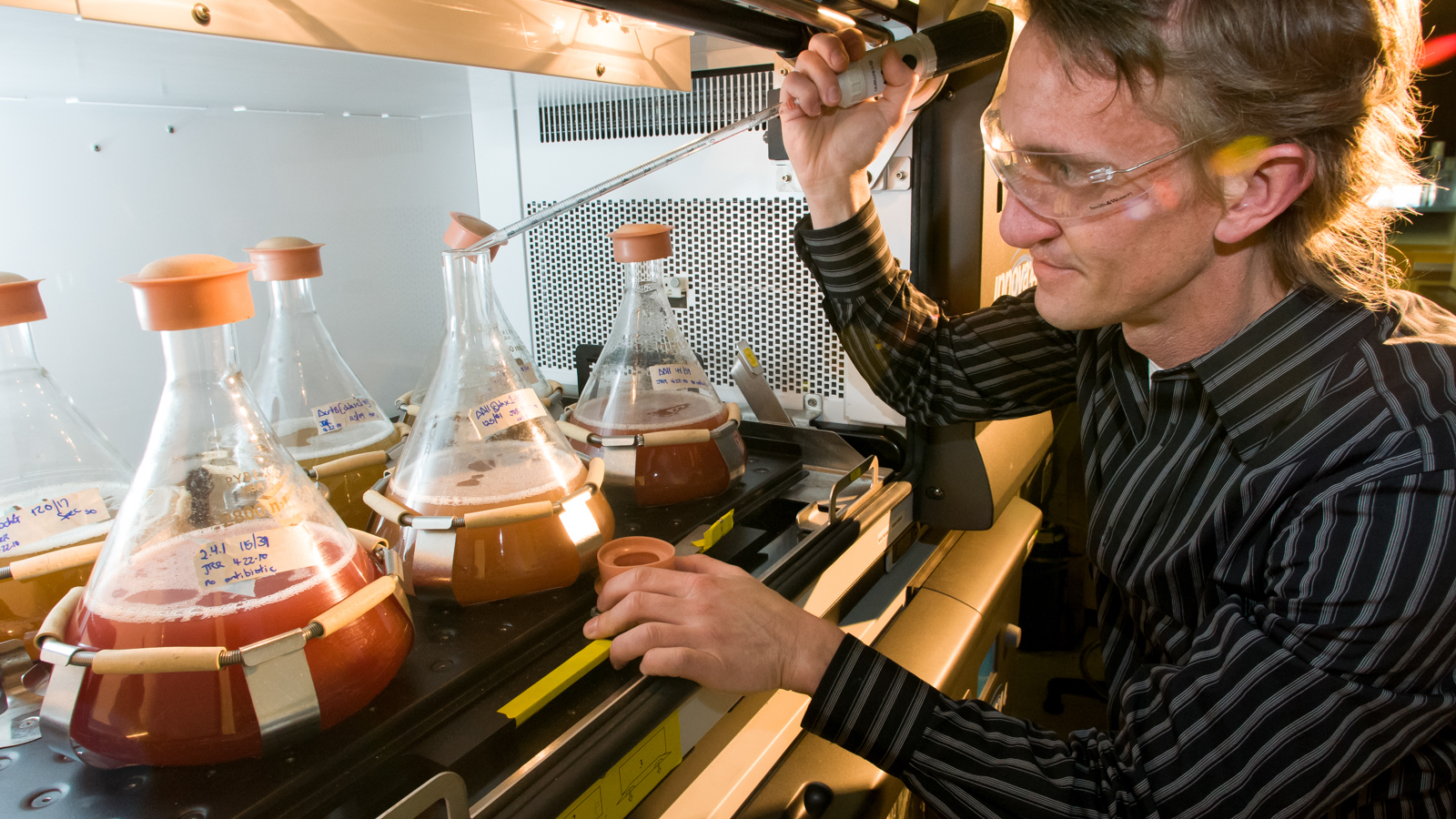 Argonne biophysicist Phil Laible oversees the growth of new photosynthetic bacteria designed to produce biofuels.