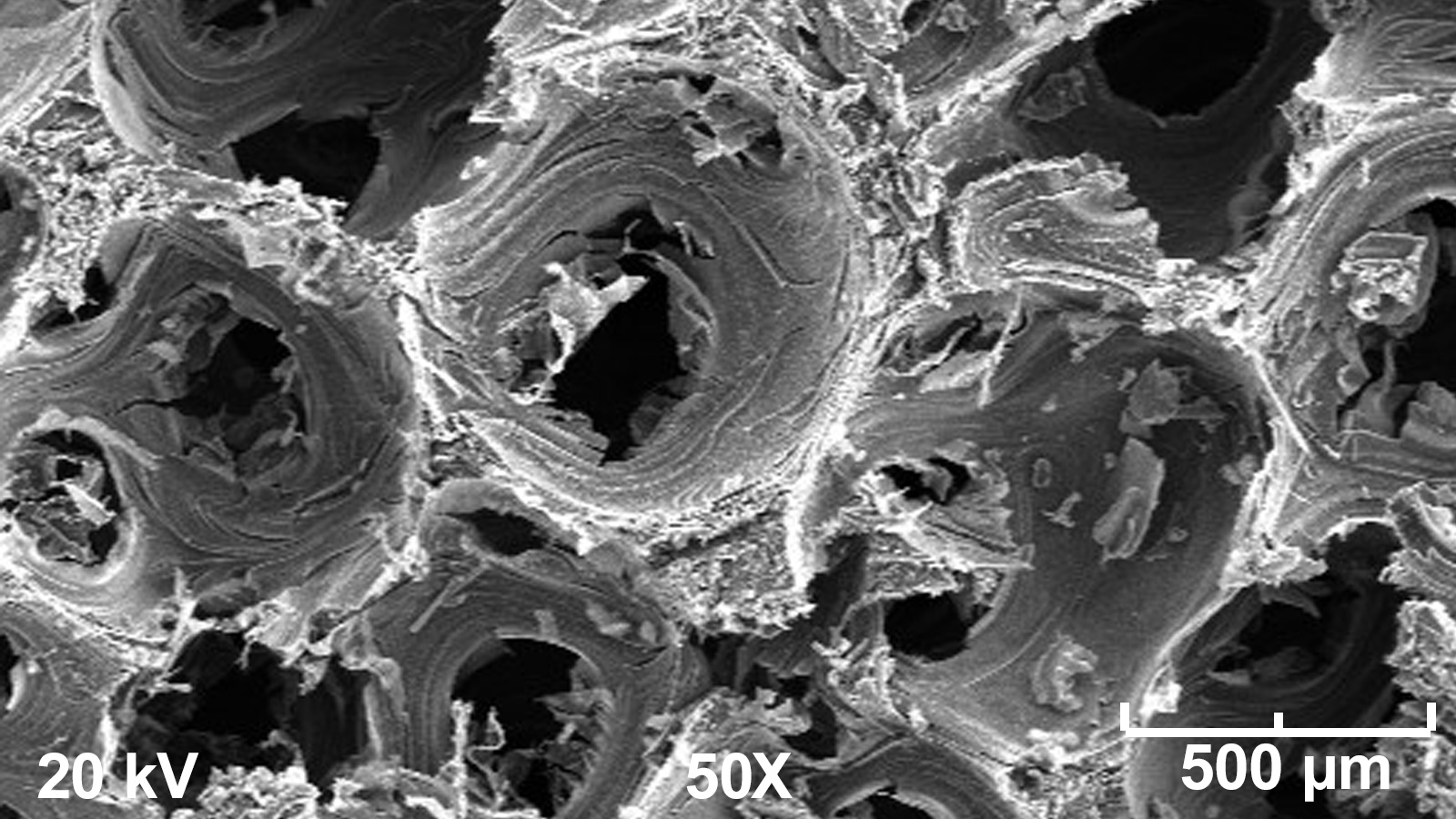 This shows a magnified view of the high-thermal-conductivity foam used in Argonne’s TESS thermal battery.
