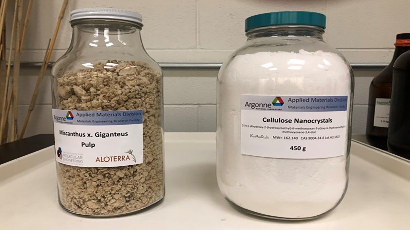 UChicago researchers discovered a way to extract cellulose nanocrystals (CNCs) from Miscanthus x. Giganteus, a fast-growing grass.