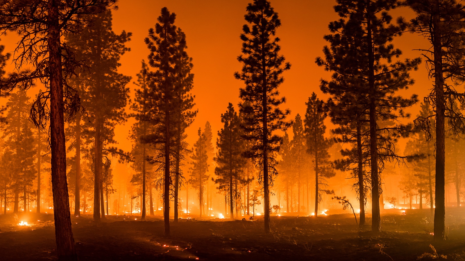 Wildfires burn across the West, affecting California, Oregon and Washington. (Shutterstock / My Photo Buddy.)