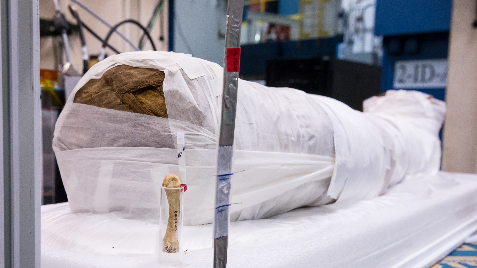 Scientists used powerful X-rays to see inside this 1,900-year-old Egyptian mummy, getting a look at the bones and artifacts beneath layers of linens and resin without causing any damage. The mummy remains on display at Northwestern University. (Image by Mark Lopez / Argonne National Laboratory.)