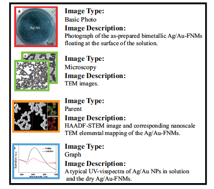 Figure shows a set of electron microscopy images with captions produced by EXSCLAIM!