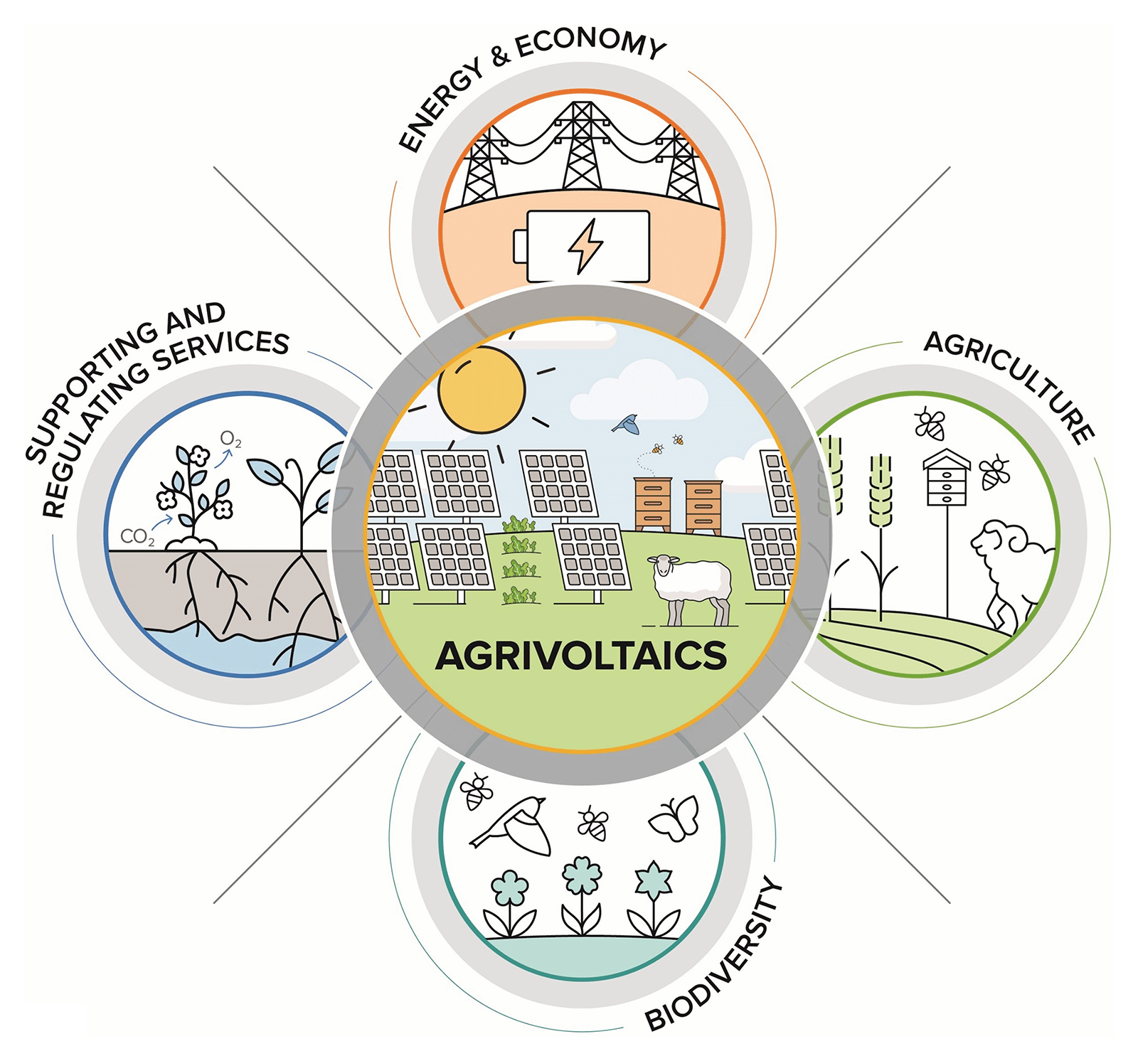 Conceptual illustration of the potential ecosystem services of agrivoltaic systems, including energy and food production, biodiversity conservation, and supporting and regulating services (such as runoff control and carbon sequestration).