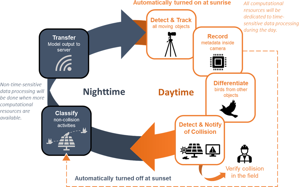 During daytime, the camera detects and tracks all moving objects, records metadata, differentiates birds from other objects, and detects & notifies of collision. At night, the camera classifies non-collision activities and transfers model output to server.