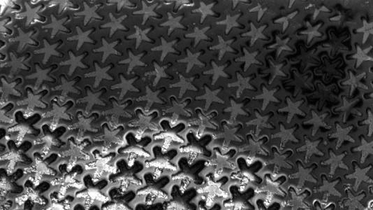 Electron microscope image of a freshly grown batch of nanowires using the NextGen STEM Kit’s star-shaped mold