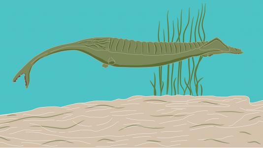 The Tully Monster roved the warm, shallow seas that covered Illinois 300 million years ago.
