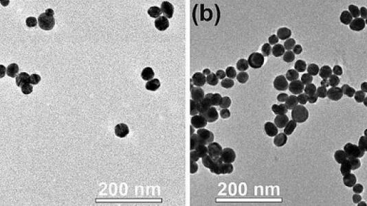 Gold nanoparticles self-assemble into long chains when bombarded with electrons.