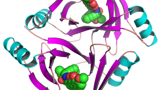 This shows the crystal structure of the tnmS3 gene in complex with tiancimycin. The latter is a natural product that holds promise for new cancer drugs. The gene encodes proteins that allow bacteria to resist the effects of tiancimycins.