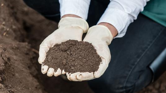 How can scientists use the revolutionary advances in sensors, sensor networks and related technologies to advance the understanding of soil? Researchers from Argonne and The University of Chicago began to answer this question at a recent workshop. (Image by Shutterstock / Vlad Teodor.)