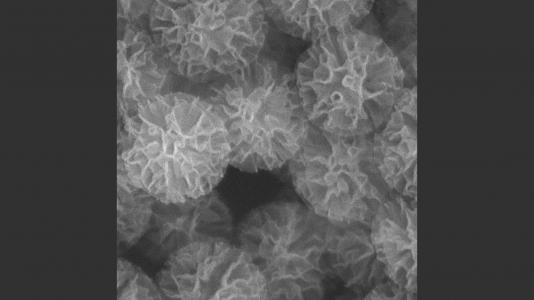 Scanning Electron Microscopy (SEM) images of the porous silica nanodevices. The exposed amount of surface area provides high opportunity to attach the peptide-attracting antibody fragments. (Image by Center for Nanoscale Materials, Argonne National Laboratory.)