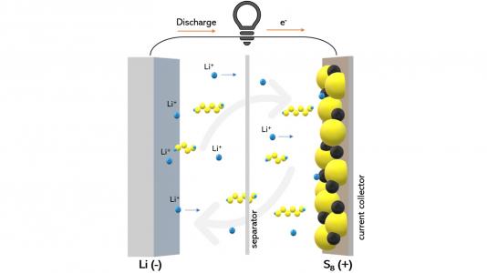 Scientists were able to observe how a certain type of electrolyte material can reduce the shuttling of polysulfide compounds (shown as yellow and blue chains) that impairs the battery’s performance. (Image by Wikipedia / Creative Commons.)