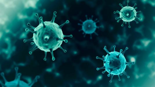 Illustration of the SARS-CoV-2 virus, which causes COVID-19, floating in a host cell. Researchers have uncovered details about how the virus camouflages itself inside a cell, evading detection from the immune system. (Image by Nhemz / Shutterstock.)