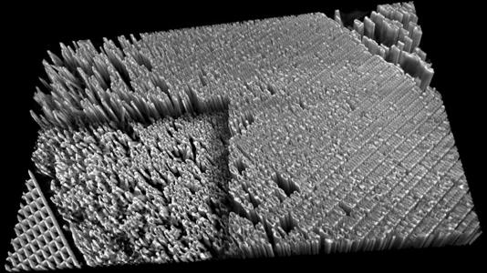 This image of a plate with 16-nanometer-wide features was captured in resolutions of less than 10 nanometers, allowing scientists to see the tiny defects in its shape. (Image by Vincent De Andrade.)