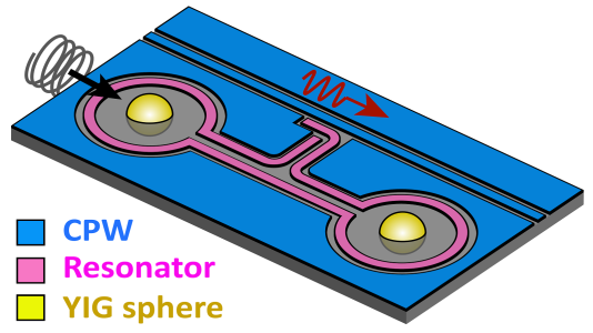 Rendition of circuit board showing CPW, resonator, YIG sphere. (Image by Yi Li/Argonne National Laboratory.)