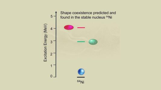 Graph showing the shape of Ni-64 nuclei at different energy levels. The Ni-64 is depicted as a sphere in the ground state, and prolate and oblate ellipsoids at higher energy states. (Image by Michigan State University/Erin O’Donnell.)