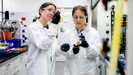 Two women scientists working