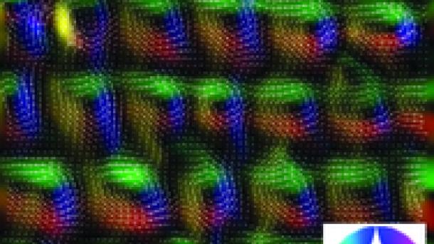 Magnetic induction map of nanoscale skyrmion lattice in Ni2MnGa